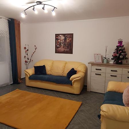 Central Lala Apartament Apartment Brașov Exterior foto